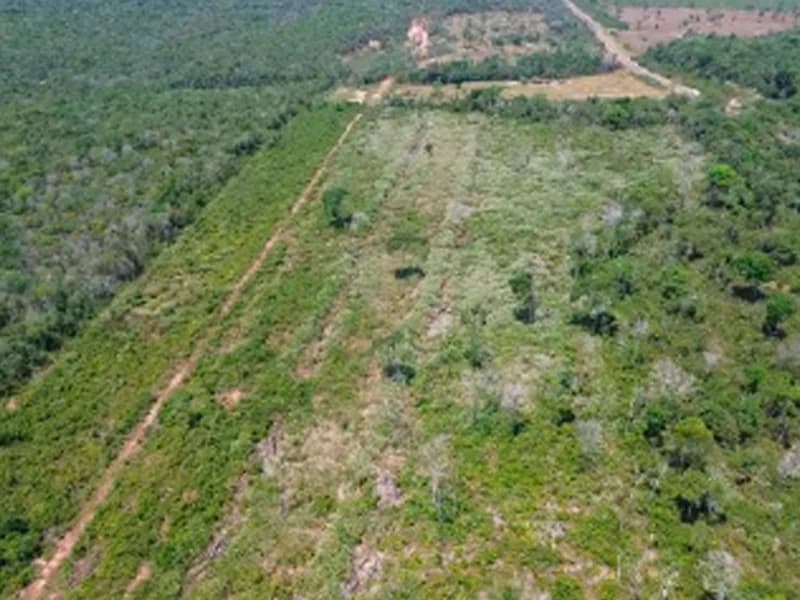 Foto 6 de 13: Terreno em leilão em Vilhena - RO — Terreno - Vilhena - RO