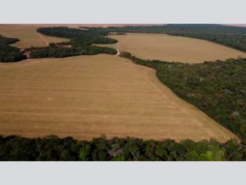 Foto 4 de 8: Area Rural em leilão em Vilhena - RO — Terreno - Vilhena - RO
