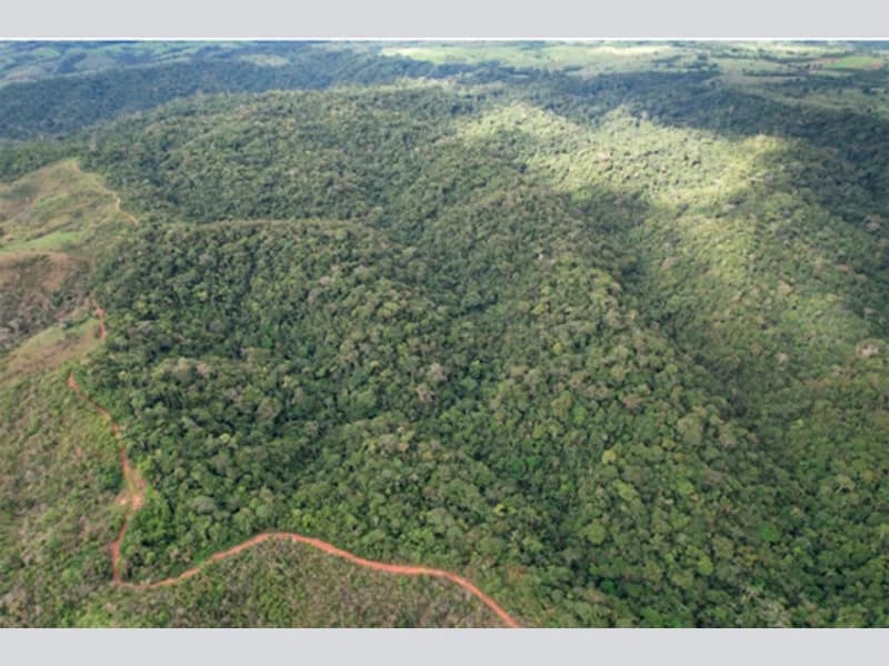 Foto 1 de 3: Terreno em leilão em Nova Brasilândia D'oeste - RO — Terreno - Nova Brasilândia D'oeste - RO
