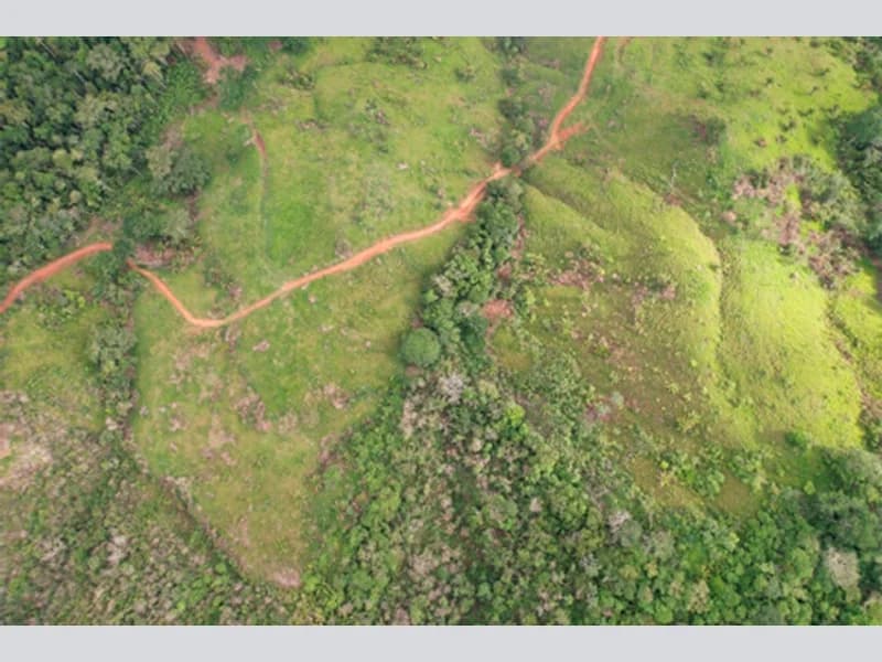 Foto 3 de 3: Terreno em leilão em Nova Brasilândia D'oeste - RO — Terreno - Nova Brasilândia D'oeste - RO