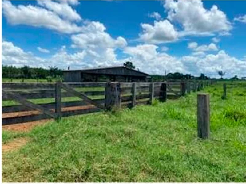 Foto 1 de 4: Area Rural em leilão em Porto Velho - RO — Terreno - Porto Velho - RO