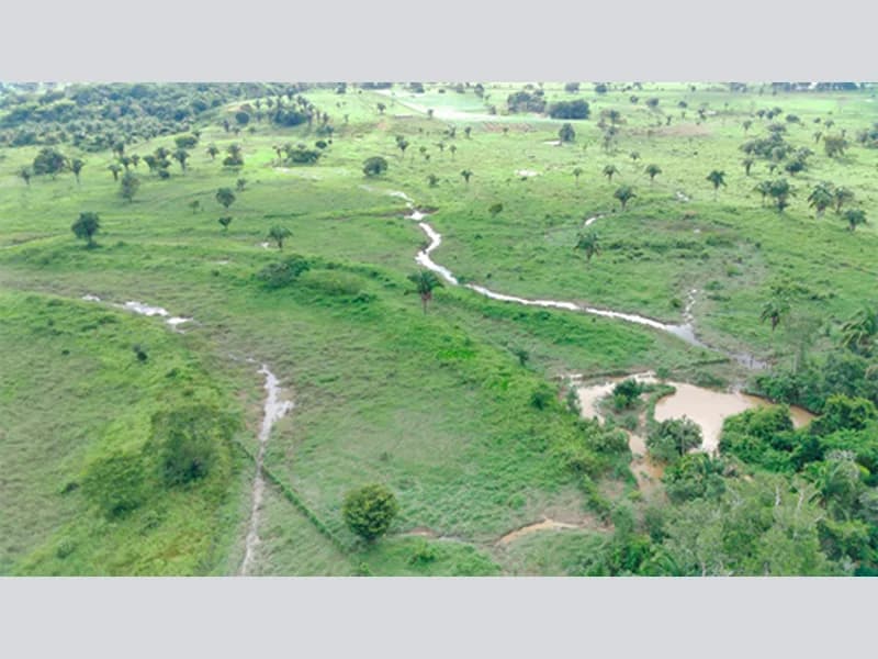 Foto 7 de 8: Terreno em leilão em Urupá - RO — Terreno - Urupá - RO