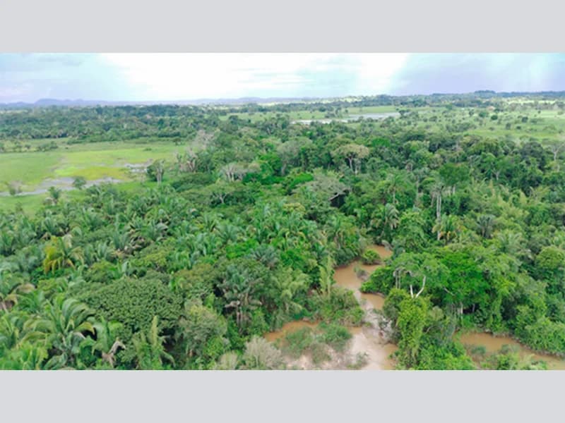Foto 5 de 8: Terreno em leilão em Urupá - RO — Terreno - Urupá - RO