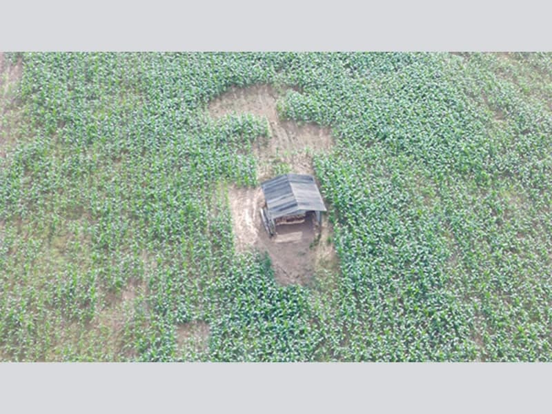 Foto 6 de 8: Terreno em leilão em Urupá - RO — Terreno - Urupá - RO