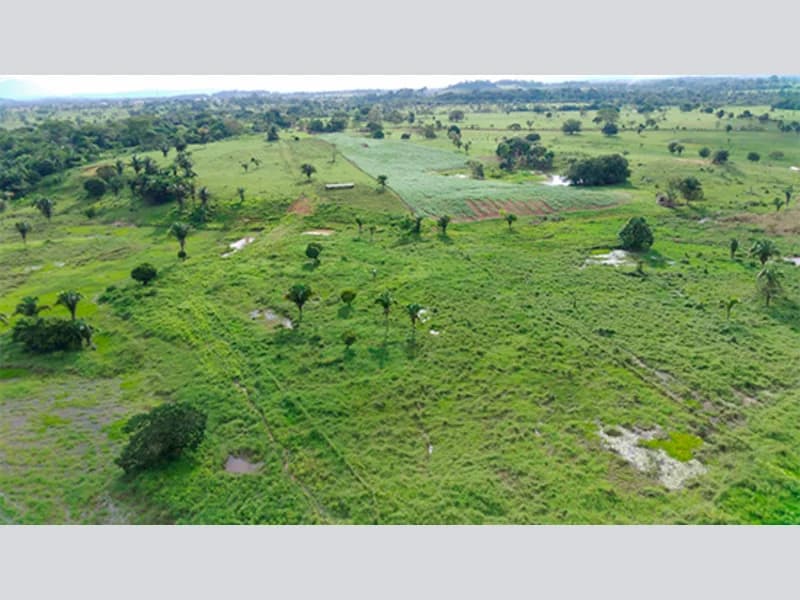 Foto 8 de 8: Terreno em leilão em Urupá - RO — Terreno - Urupá - RO