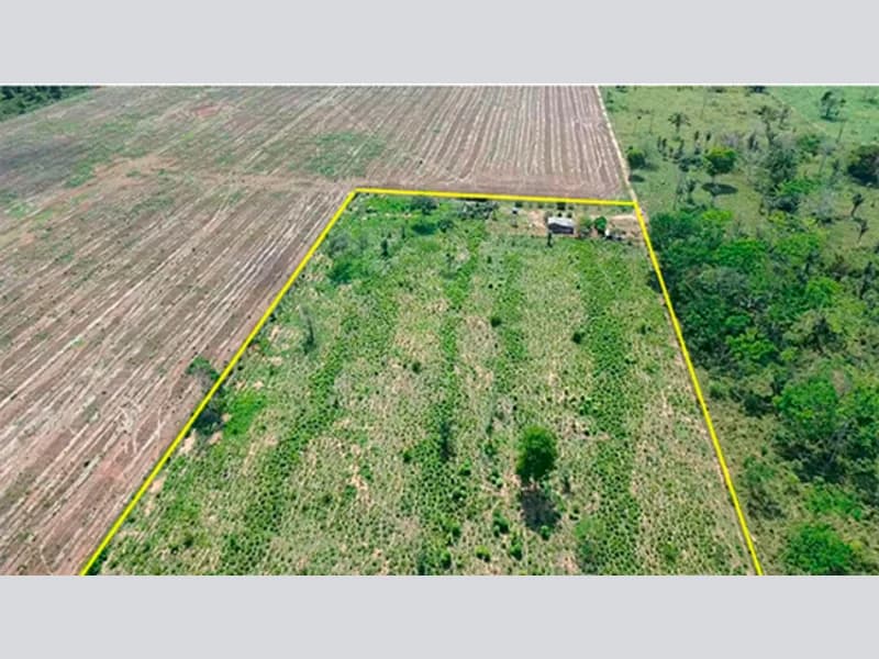 Foto 1 de 4: Area Rural em leilão em São Miguel Do Guaporé - RO — Terreno - São Miguel do Guaporé - RO