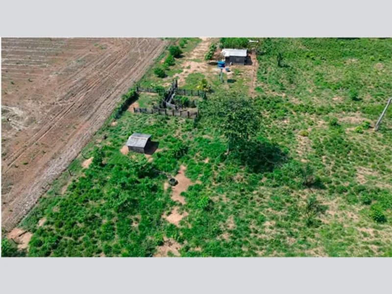 Foto 3 de 4: Area Rural em leilão em São Miguel Do Guaporé - RO — Terreno - São Miguel do Guaporé - RO