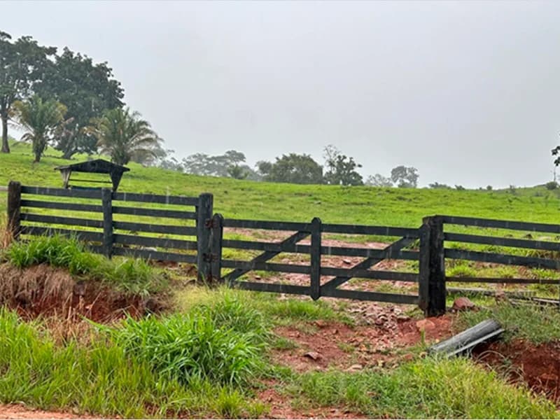 Foto 3 de 5: Area Rural em leilão em Alta Floresta D'oeste - RO — Terreno - Alta Floresta D'oeste - RO