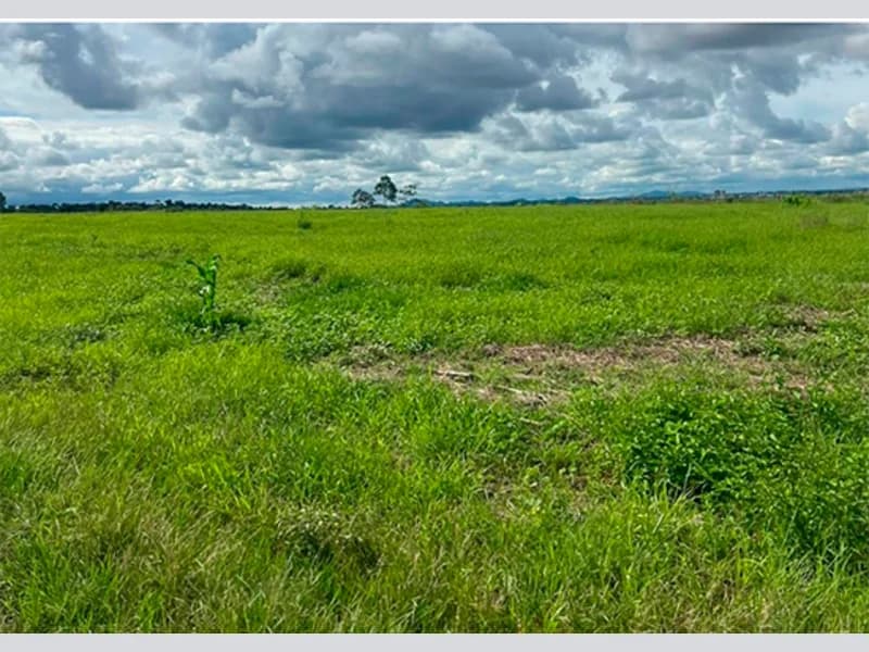 Foto 2 de 5: Area Rural em leilão em Cacoal - RO — Terreno - Cacoal - RO