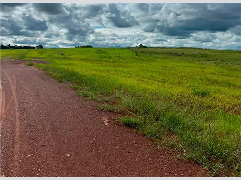 Foto 1 de 5: Area Rural em leilão em Cacoal - RO — Terreno - Cacoal - RO