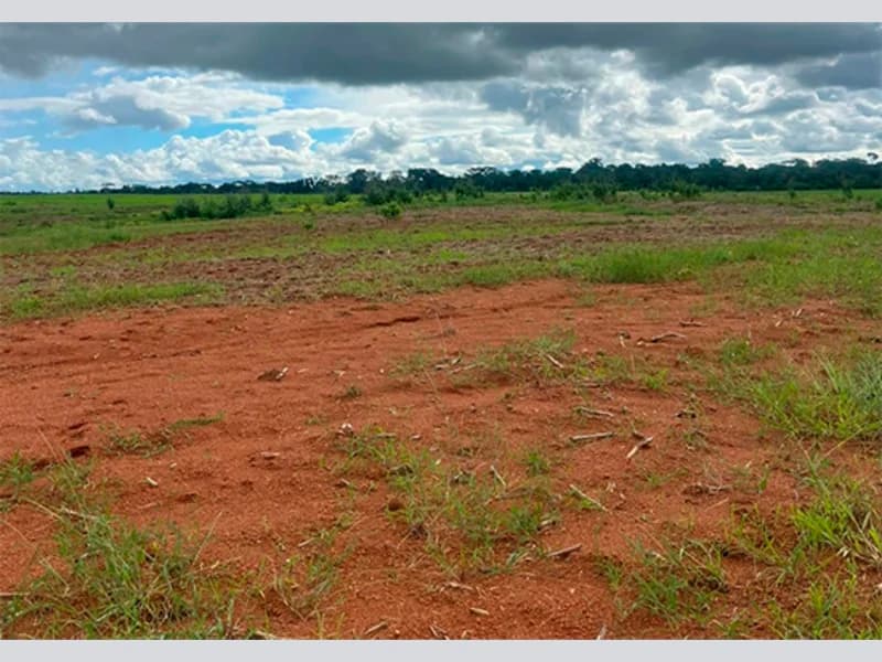 Foto 4 de 5: Area Rural em leilão em Cacoal - RO — Terreno - Cacoal - RO
