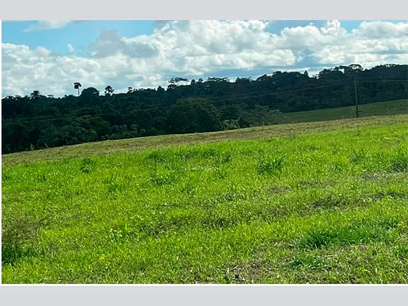 Foto 3 de 5: Area Rural em leilão em Cacoal - RO — Terreno - Cacoal - RO
