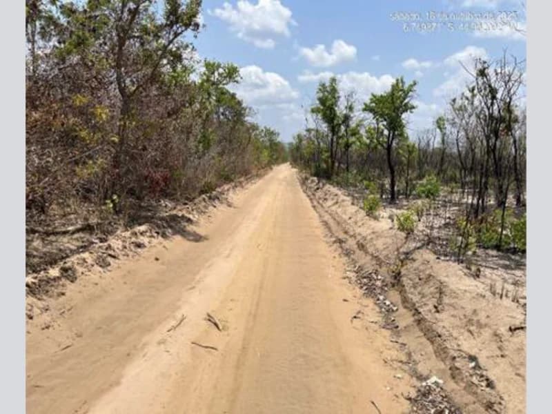 Foto 4 de 6: Area Rural em leilão em Mirador - MA — Área Rural - Mirador - MA