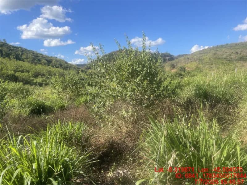 Foto 19 de 30: Area Rural em leilão em Jenipapo Dos Vieiras - MA, bairro Barrinha — Terreno - Jenipapo Dos Vieiras - MA
