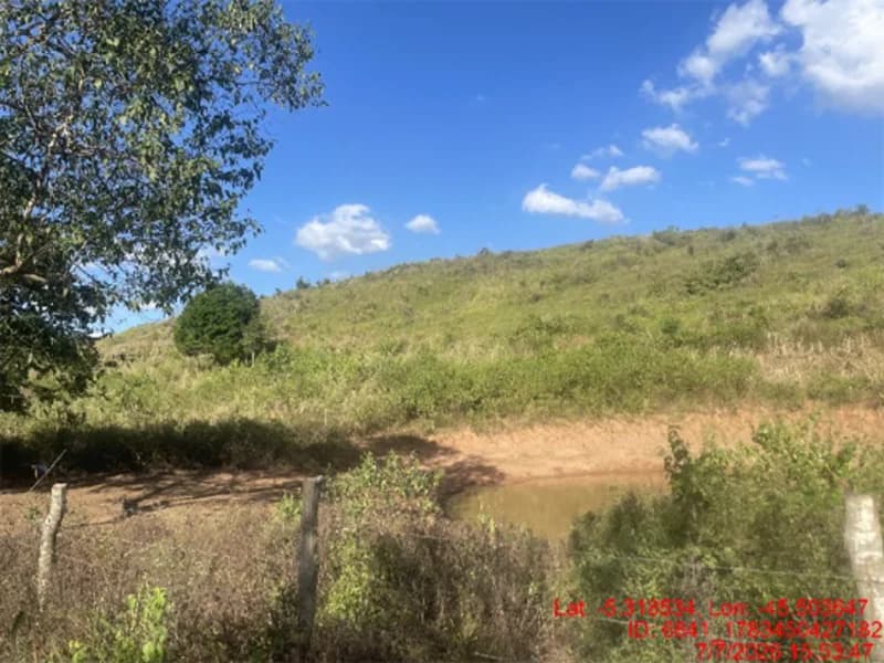 Foto 9 de 30: Area Rural em leilão em Jenipapo Dos Vieiras - MA, bairro Barrinha — Terreno - Jenipapo Dos Vieiras - MA