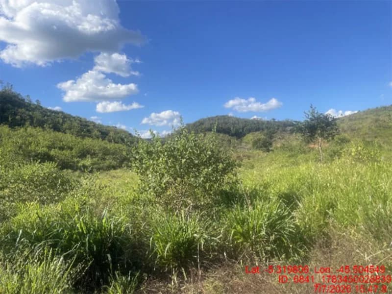 Foto 2 de 30: Area Rural em leilão em Jenipapo Dos Vieiras - MA, bairro Barrinha — Terreno - Jenipapo Dos Vieiras - MA