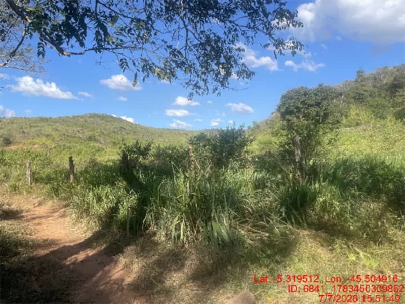 Foto 5 de 30: Area Rural em leilão em Jenipapo Dos Vieiras - MA, bairro Barrinha — Terreno - Jenipapo Dos Vieiras - MA