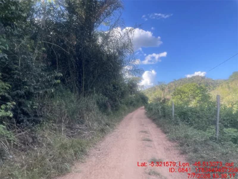 Foto 4 de 30: Area Rural em leilão em Jenipapo Dos Vieiras - MA, bairro Barrinha — Terreno - Jenipapo Dos Vieiras - MA