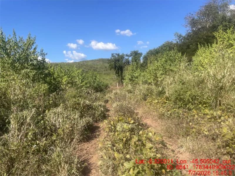 Foto 8 de 30: Area Rural em leilão em Jenipapo Dos Vieiras - MA, bairro Barrinha — Terreno - Jenipapo Dos Vieiras - MA