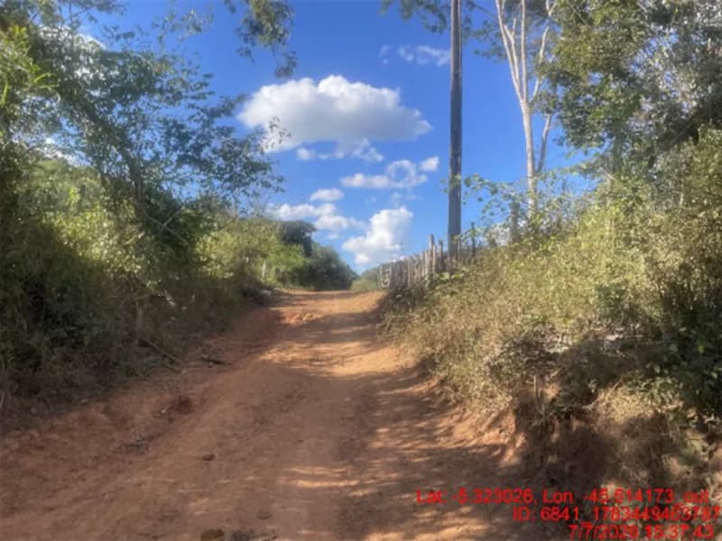 Foto 15 de 30: Area Rural em leilão em Jenipapo Dos Vieiras - MA, bairro Barrinha — Terreno - Jenipapo Dos Vieiras - MA