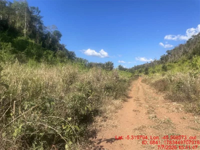 Foto 14 de 30: Area Rural em leilão em Jenipapo Dos Vieiras - MA, bairro Barrinha — Terreno - Jenipapo Dos Vieiras - MA