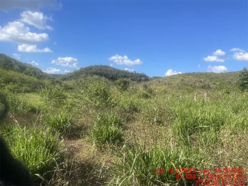Foto 24 de 30: Area Rural em leilão em Jenipapo Dos Vieiras - MA, bairro Barrinha — Terreno - Jenipapo Dos Vieiras - MA