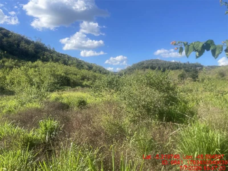 Foto 22 de 30: Area Rural em leilão em Jenipapo Dos Vieiras - MA, bairro Barrinha — Terreno - Jenipapo Dos Vieiras - MA