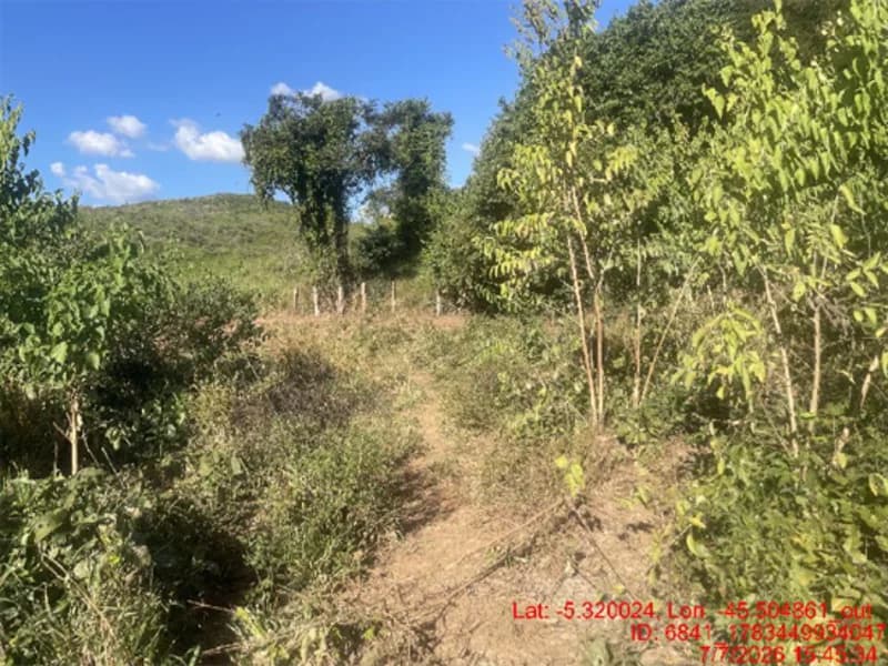 Foto 23 de 30: Area Rural em leilão em Jenipapo Dos Vieiras - MA, bairro Barrinha — Terreno - Jenipapo Dos Vieiras - MA