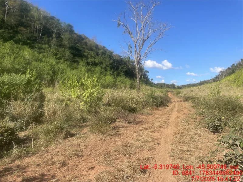 Foto 21 de 30: Area Rural em leilão em Jenipapo Dos Vieiras - MA, bairro Barrinha — Terreno - Jenipapo Dos Vieiras - MA