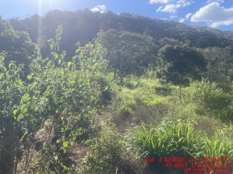 Foto 25 de 30: Area Rural em leilão em Jenipapo Dos Vieiras - MA, bairro Barrinha — Terreno - Jenipapo Dos Vieiras - MA