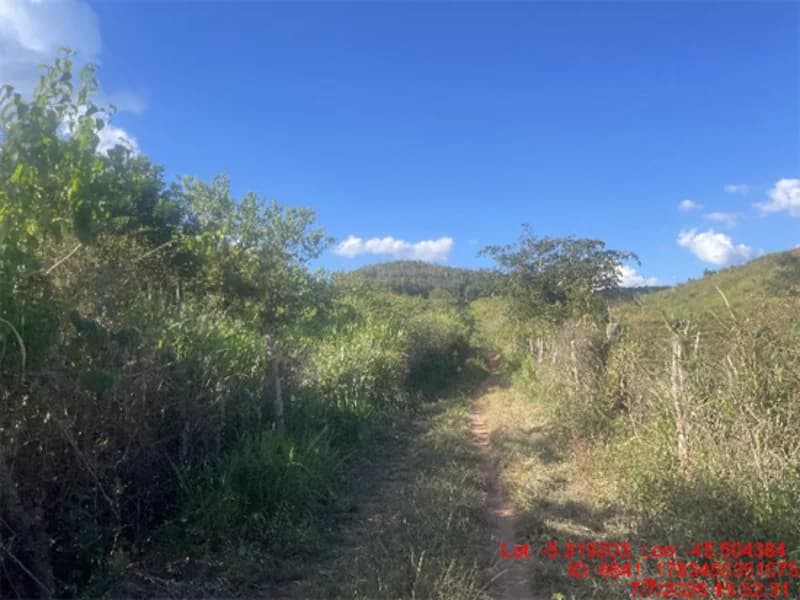 Foto 26 de 30: Area Rural em leilão em Jenipapo Dos Vieiras - MA, bairro Barrinha — Terreno - Jenipapo Dos Vieiras - MA
