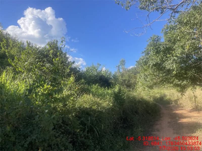 Foto 30 de 30: Area Rural em leilão em Jenipapo Dos Vieiras - MA, bairro Barrinha — Terreno - Jenipapo Dos Vieiras - MA