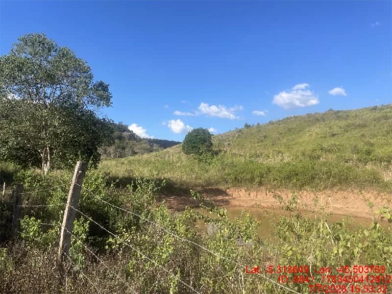 Foto 29 de 30: Area Rural em leilão em Jenipapo Dos Vieiras - MA, bairro Barrinha — Terreno - Jenipapo Dos Vieiras - MA