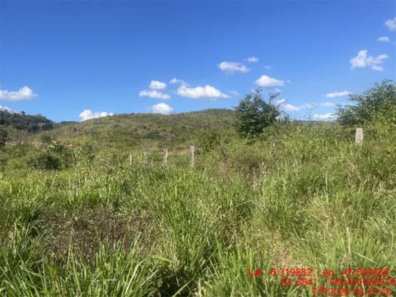 Foto 27 de 30: Area Rural em leilão em Jenipapo Dos Vieiras - MA, bairro Barrinha — Terreno - Jenipapo Dos Vieiras - MA