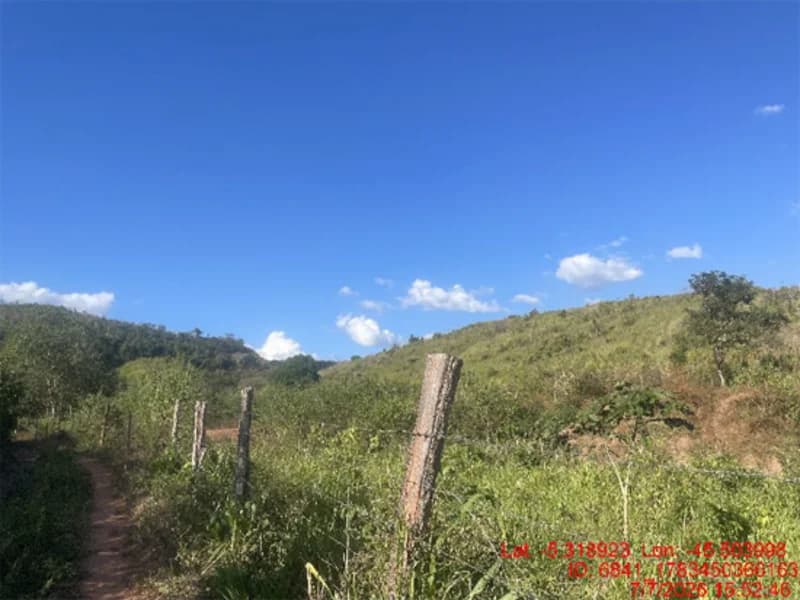 Foto 28 de 30: Area Rural em leilão em Jenipapo Dos Vieiras - MA, bairro Barrinha — Terreno - Jenipapo Dos Vieiras - MA