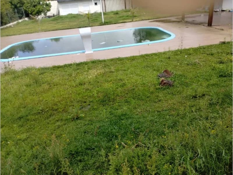 Foto 4 de 41: Casa em leilão em Uruguaiana - RS, bairro Vila Barragem Sanchuri — Casa - Uruguaiana - RS