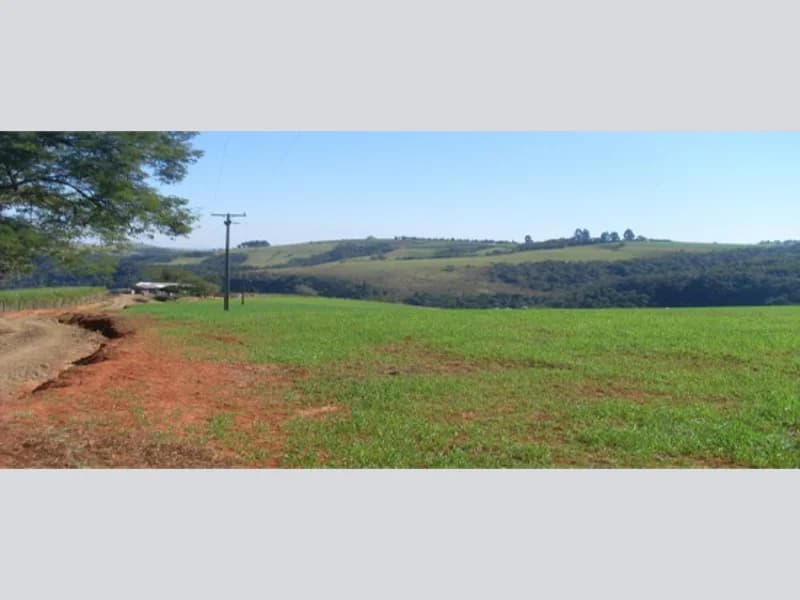 Foto 3 de 4: Terreno em leilão em Wenceslau Braz - PR — Terreno - Wenceslau Braz - PR