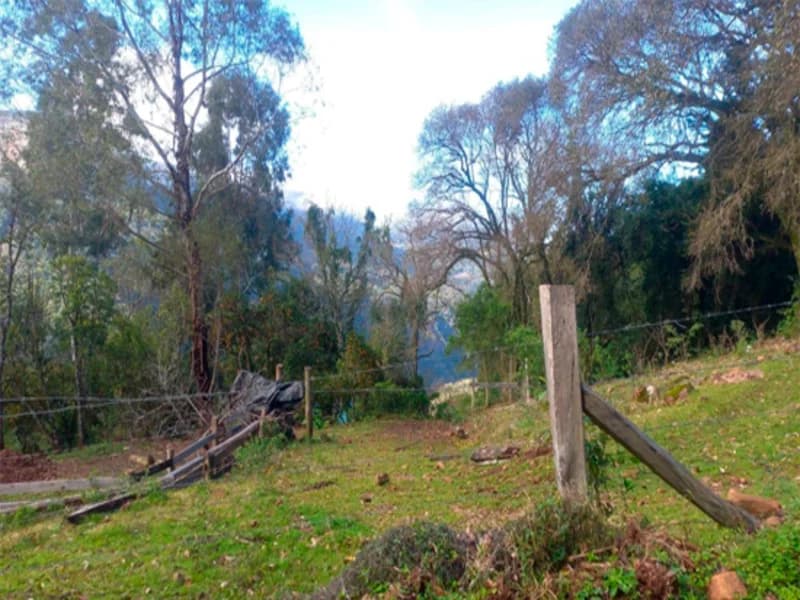 Foto 1 de 12: Terreno em leilão em Caxias Do Sul - RS, bairro Vila Oliva — Terreno - Caxias do Sul - RS