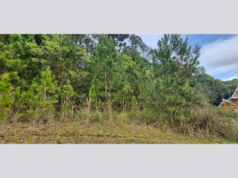 Foto 2 de 15: Terreno em leilão em Nova Petrópolis - RS, bairro Centro — Terreno - Nova Petrópolis - RS
