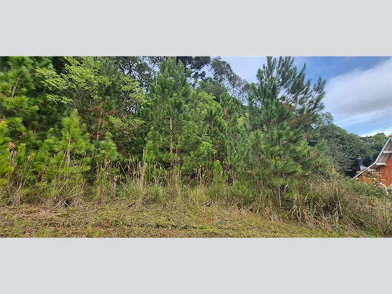 Foto 1 de 15: Terreno em leilão em Nova Petrópolis - RS, bairro Centro — Terreno - Nova Petrópolis - RS