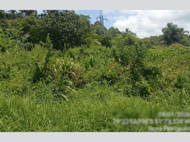 Foto 7 de 12: Terreno em leilão em Nova Petrópolis - RS, bairro Loteamento Bela Vista — Terreno - Nova Petrópolis - RS