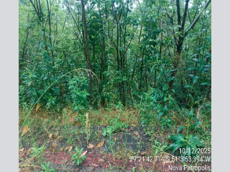 Foto 3 de 12: Terreno em leilão em Nova Petrópolis - RS — Terreno - Nova Petrópolis - RS