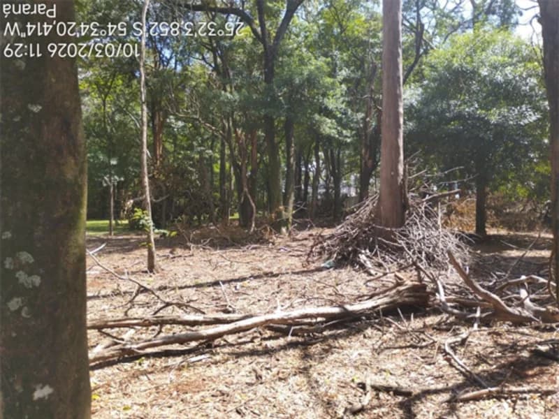 Foto 10 de 10: Terreno em leilão em Foz Do Iguaçu - PR, bairro Maracanã — Terreno - Foz do Iguaçu - PR