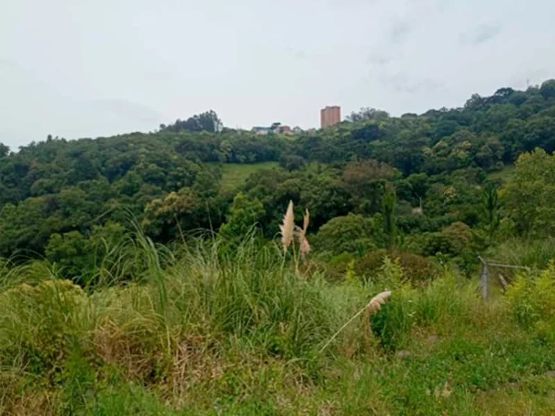 Foto 8 de 20: Terreno em leilão em Caxias Do Sul - RS — Terreno - Caxias do Sul - RS