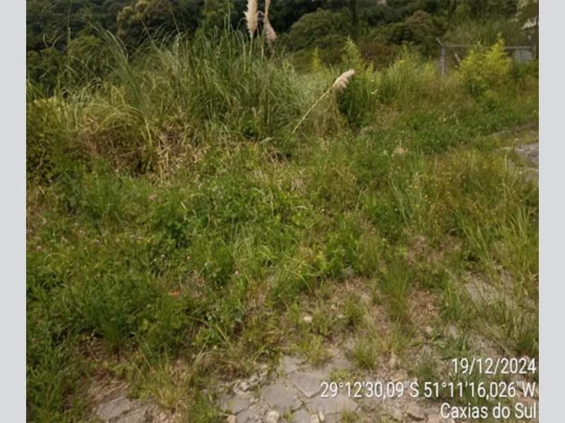 Foto 16 de 20: Terreno em leilão em Caxias Do Sul - RS — Terreno - Caxias do Sul - RS