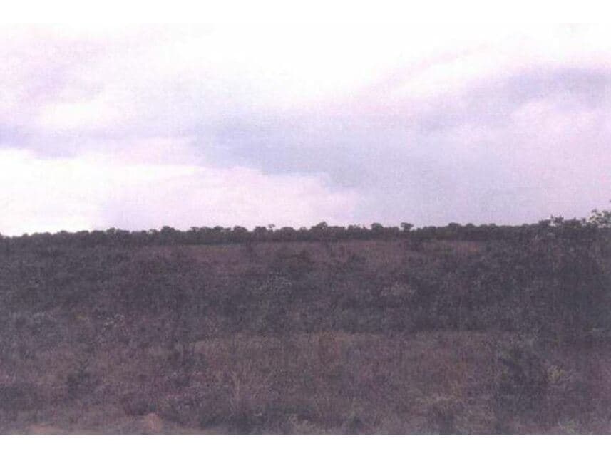 Area Rural em leilão em Alto Garças - MT — Área Rural à venda em leilão