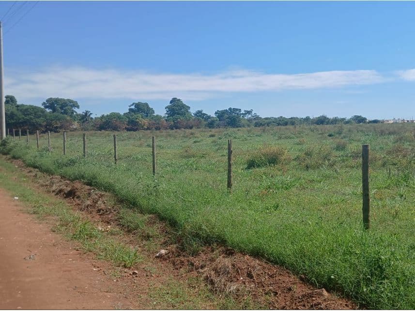 Area Rural em leilão em Ouroeste - SP — Área Rural à venda em leilão