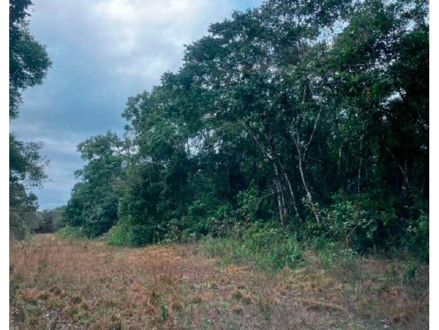 Terreno em leilão em Itanhaém - SP — Terreno à venda em leilão