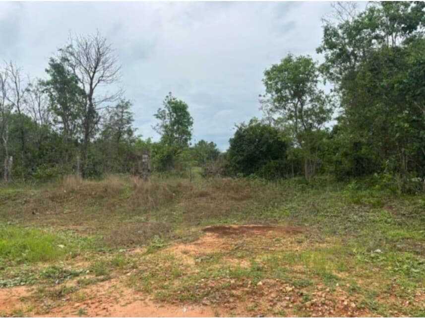 Area Rural em leilão em Bom Jardim De Goiás - GO — Fazenda à venda em leilão