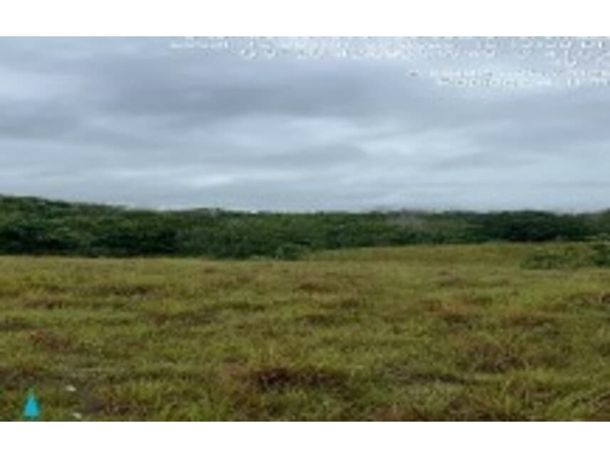 Foto 3 de 4: Area Rural em leilão em Dois Irmãos Do Tocantins - TO — Área Rural à venda em leilão